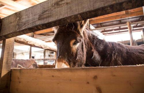 Agriturismo Fassi - Foto 28