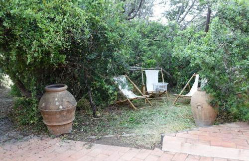 Isola di Giannutri Tukul panoramico - Foto 5