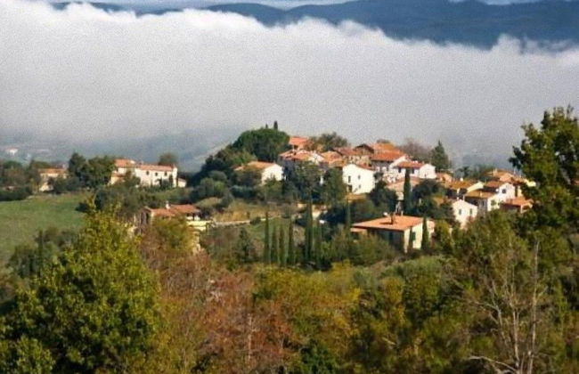 House, Villa - Polveraia, Scansano, Grosseto - Foto 1