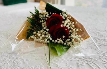 Peak A Boo Private Heated Pool and Private Parking - Foto 13