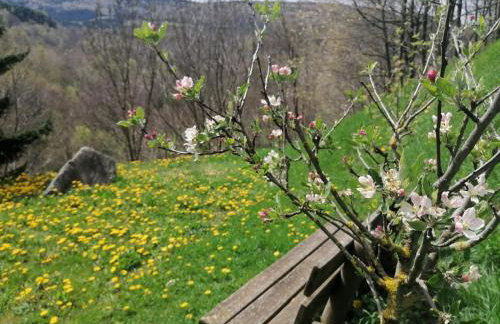 Els Pins d'Abella - Foto 34