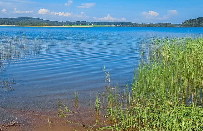 Pikku-puntila - Foto 1