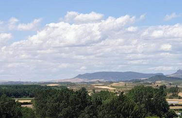 APARTAMENTO REY ENEO II 80 m2 en la Cuna Histórica del Vino - Photo 44