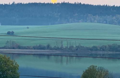 Chalet Charmant rénové au bord du Lac St Point - Foto 53
