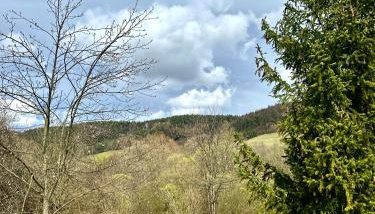 Siedlisko Nad Potokiem - Foto 2