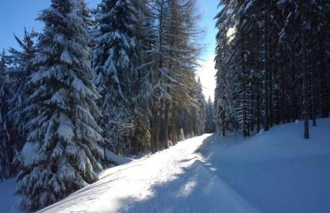 Gorgeous Holiday Home in Altenfeld Thuringia - Foto 52