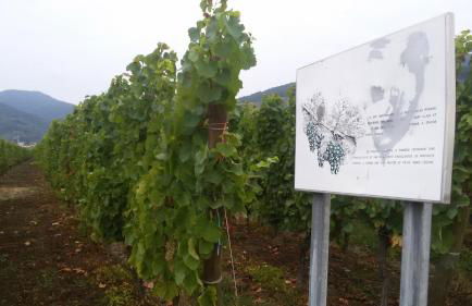 Naova Cosy Studio - Foto 35