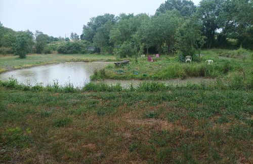 les gîtes du péré - Foto 7