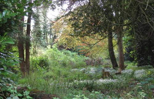 Doonbank Cottage Bothy - Foto 34
