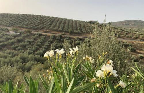 Casa Rural Alés - Foto 12