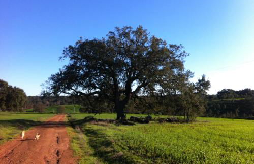 village loft - Foto 21