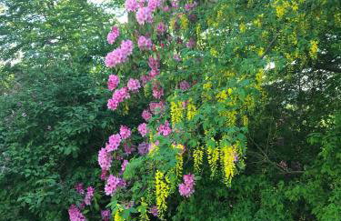 Craig Cottage - Photo 22