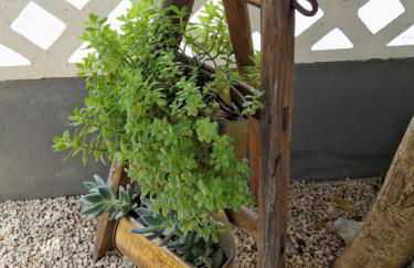 Appartamento Rosanna - Foto 40