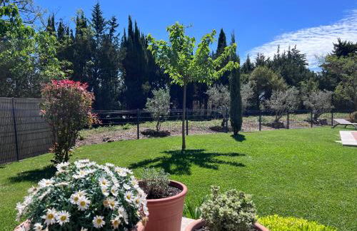 Mazet Brunelly - Foto 11