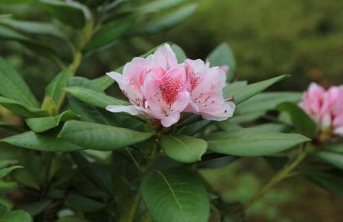 Villa Vignolo - Photo 34