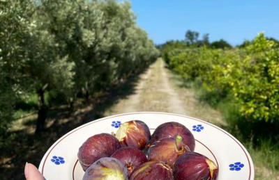 LudoMar Country Residence - Rooms & Apartments - Foto 9