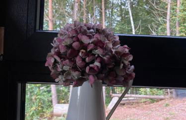 Blockhaus in herrlicher Umgebung - Foto 27