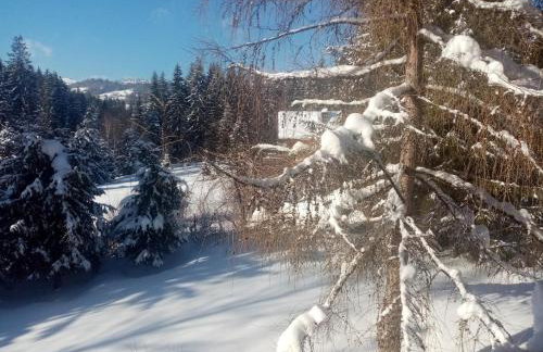 Górski Zakątek z kominkiem i tarasem - Foto 47