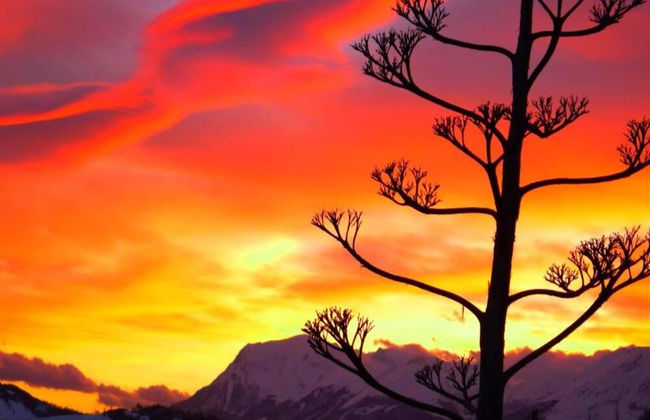 Belvilla by Oyo La Sibilla - Photo 40