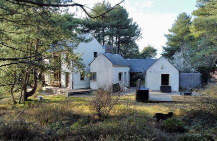 La villa dans les pins - Photo 6