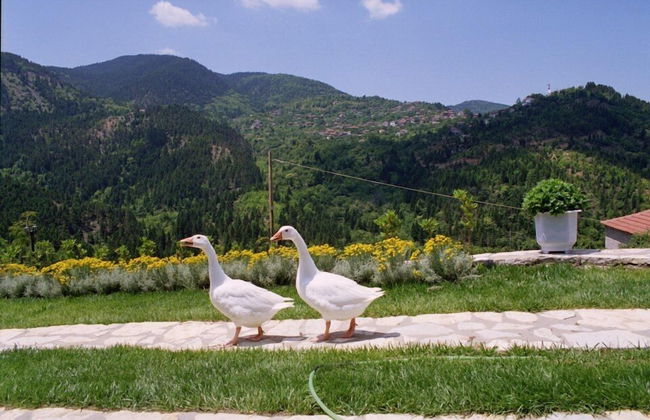 Xenios Chalets - Foto 57