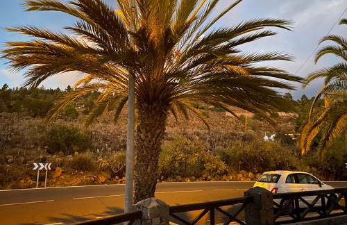 Estudio las lajas - Foto 10