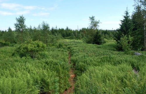 Beautiful Private Retreat with Private Beaches and Boat on McGee Island, Maine - Photo 18