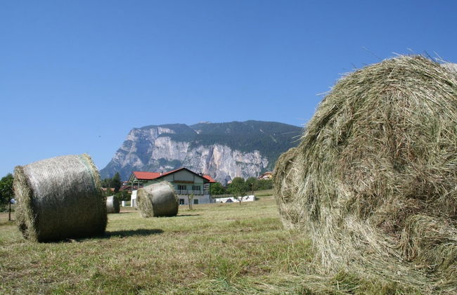Agriturismo Florandonole - Foto 44
