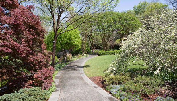 Jardim Botânico de Darwin