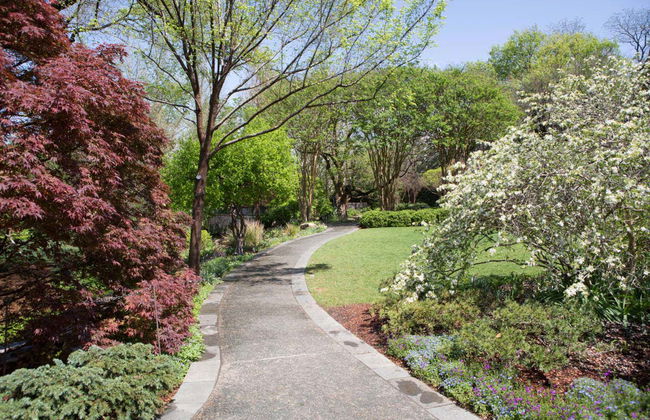 Tour por Darwin - Foto 4