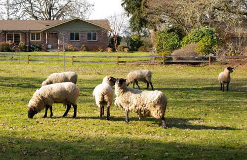 Four Wheels Farm - Foto 36