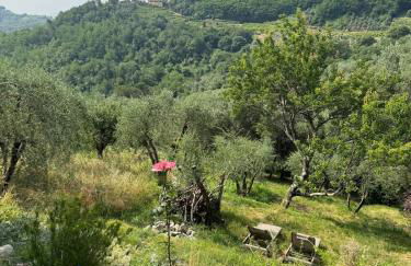 Renovated Tuscan Home overlooking Vineyards - Photo 9