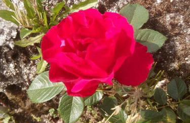 Casa do Souto - Foto 30