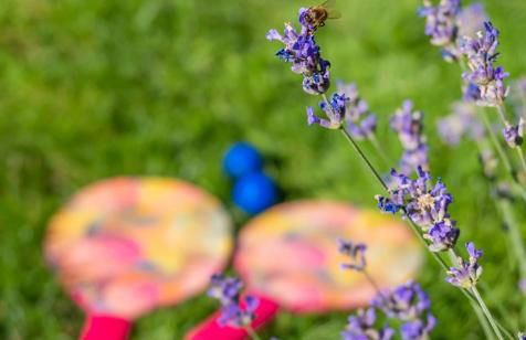 Horatio’s - Foto 31