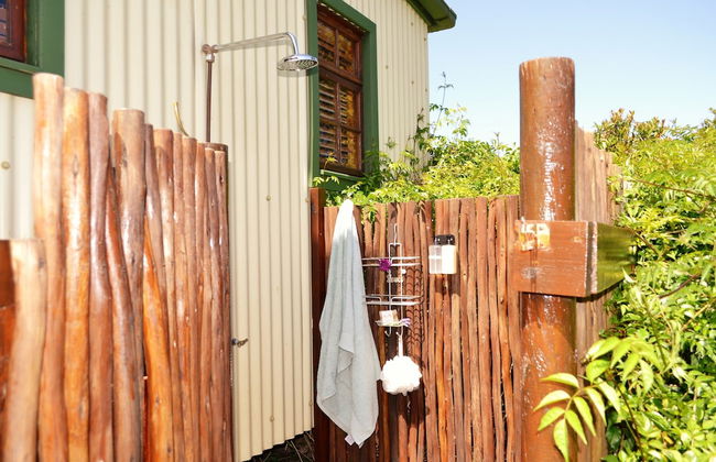 Forest Edge - Foto 53