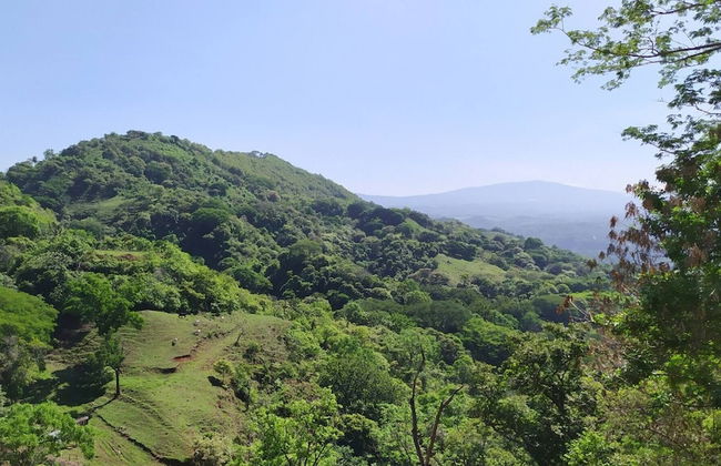 Journeys End-stunning Views In Gated Community - Foto 13