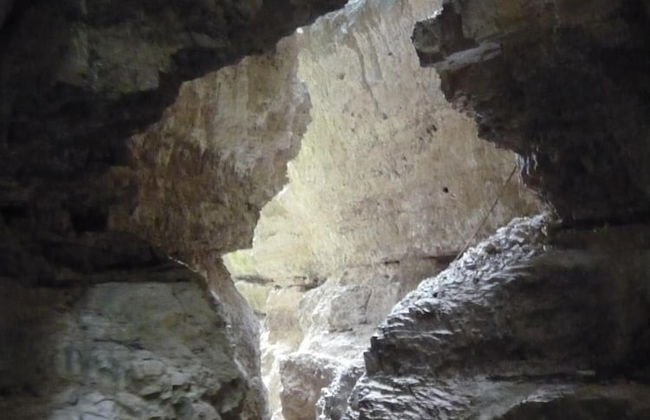 Agritur Vista Lago - Foto 10