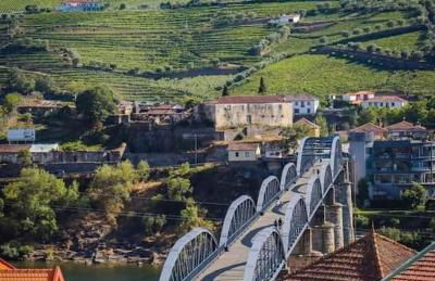 Casa do Trovão - Douro - Foto 20