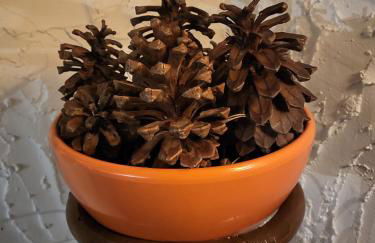 Casa Rural LOS PINARES El Juncal de TEJEDA - Foto 49