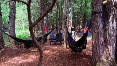 Bear Trails Retreat-Pocono Getaway Near Kalahari - Foto 4