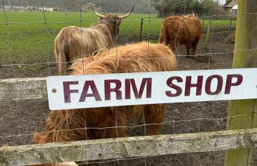 The Old stables Barn - Foto 27