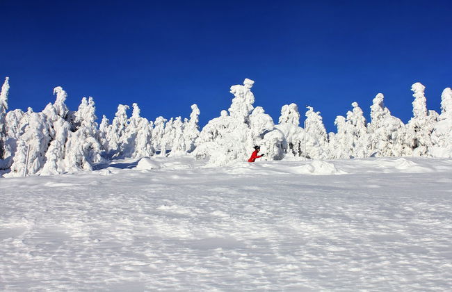 Hafjell Resort Hafjelltoppen Gaiastova - Foto 22