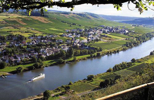 Weingut & Gästehaus Andreas Erz - Foto 26