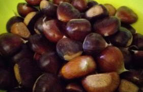 Maison Amiata - Foto 36