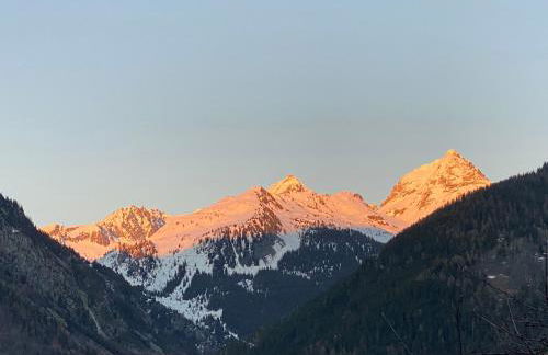 Chalet Violettes - Foto 52