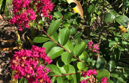 Private and Secluded Studio in Little Havana - 6V - Foto 15