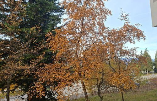 Chamrousse 1750 - Le Taillefer - Appartement classé 3 étoiles - Foto 24