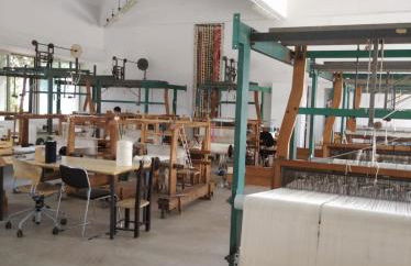 Home Green - Foto 33