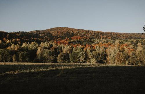 Dom Malowany domki - Foto 30
