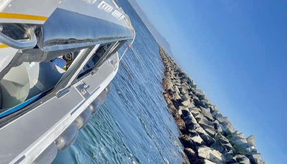 Passeio de barco com fundo de vidro por Long Beach - Foto 4, Zarpamos!